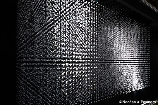 Festival Report Photo 2024